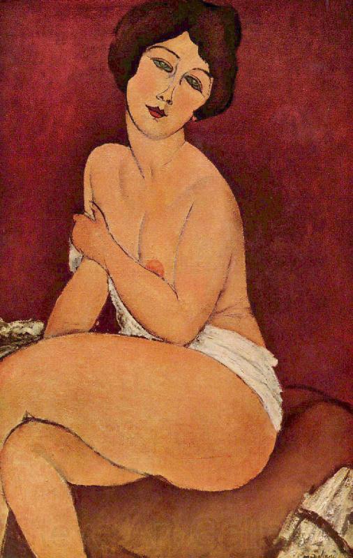 Amedeo Modigliani Nude Sitting on a Divan France oil painting art